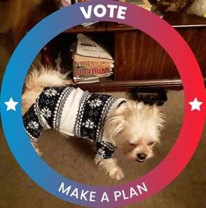 Meet your Posher, Douglas